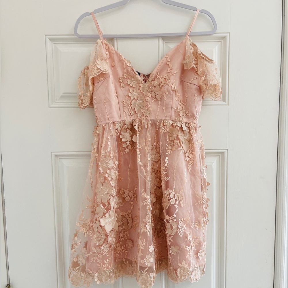 Blush Embroidered Floral Appliqué Mini Dress